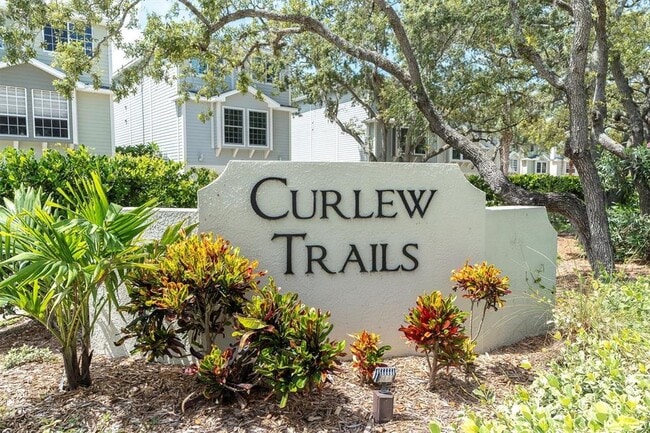 1359 Curlew Rd in Dunedin, FL - Building Photo - Building Photo
