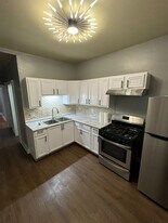 1911 S Lawndale Ave, Unit 1 in Chicago, IL - Building Photo