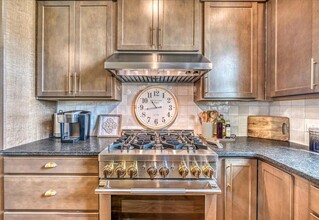 217 John Webster St in Leander, TX - Foto de edificio - Building Photo