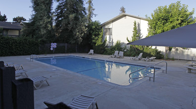 Seranado Fountain Apartments in Orange, CA - Building Photo - Building Photo