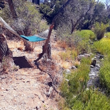 17964 Kiser Creek Rd in Cedaredge, CO - Building Photo - Building Photo