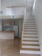 1703 Oxford St in Houston, TX - Foto de edificio - Building Photo