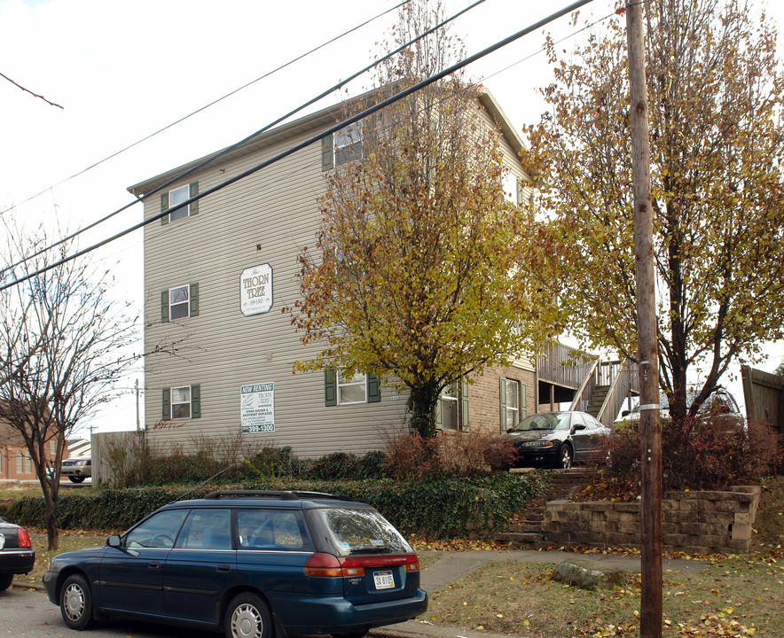 Thorn Tree in Huntington, WV - Building Photo