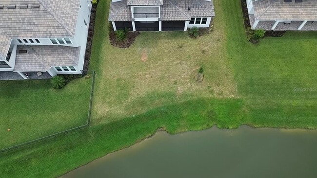 34109 Tributary Ct in Wesley Chapel, FL - Building Photo - Building Photo