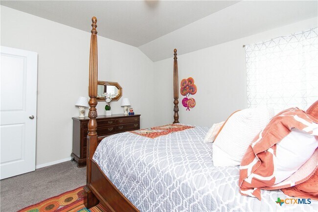 220 Blue Agate Ct in Jarrell, TX - Foto de edificio - Building Photo