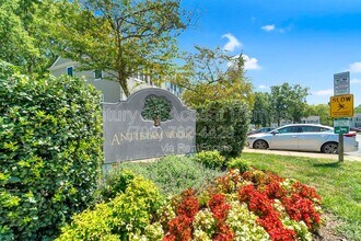 2881 Burgundy Pl in Woodbridge, VA - Building Photo - Building Photo