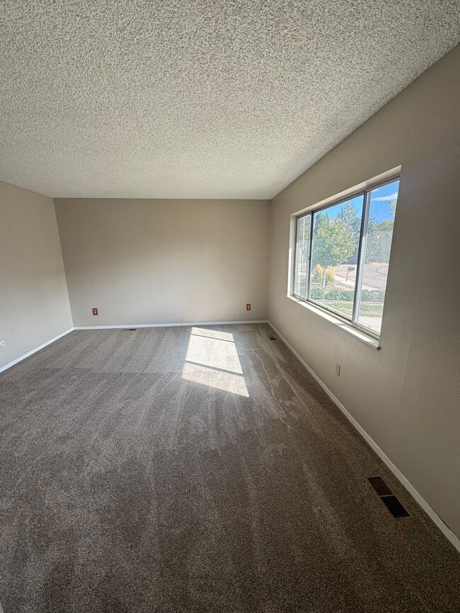 4430 Hopeful Way in Colorado Springs, CO - Building Photo - Building Photo