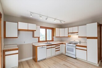 40 Whitehall St in Dedham, MA - Building Photo - Building Photo