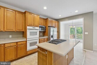 2482 Jostaberry Way in Odenton, MD - Building Photo - Building Photo