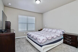 11931 Barrentine Loop in Parker, CO - Building Photo - Building Photo