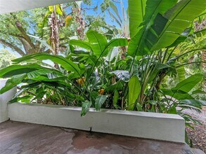 2002 S Habana Ave in Tampa, FL - Building Photo - Building Photo