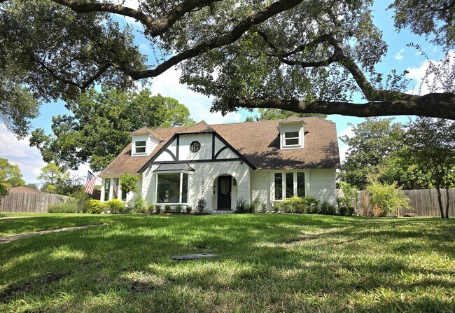 1507 Village Green Ct in Houston, TX - Building Photo - Building Photo