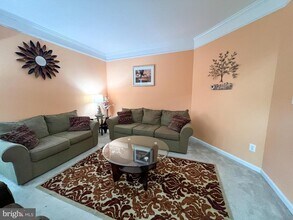 25008 Owl Creek Dr in Stone Ridge, VA - Building Photo - Building Photo