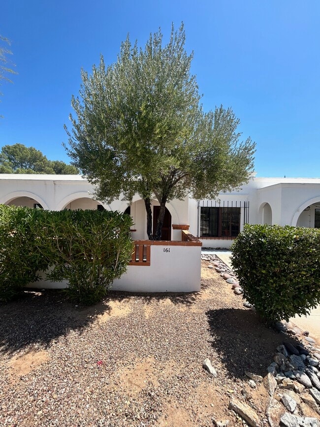 161 S Paseo Sarta in Green Valley, AZ - Building Photo - Building Photo