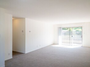 20 Tamalpais Ave in San Anselmo, CA - Building Photo - Building Photo