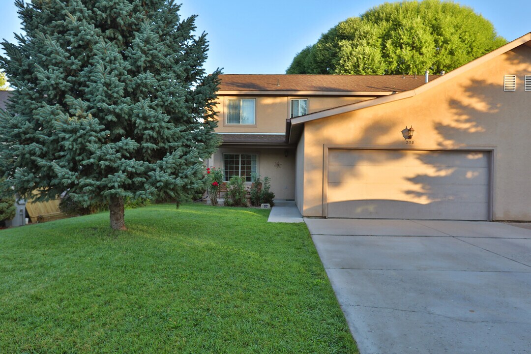 228 S Golden Dr in Silt, CO - Building Photo
