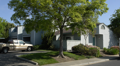 3646 Silver Oaks Way in Livermore, CA - Building Photo - Building Photo