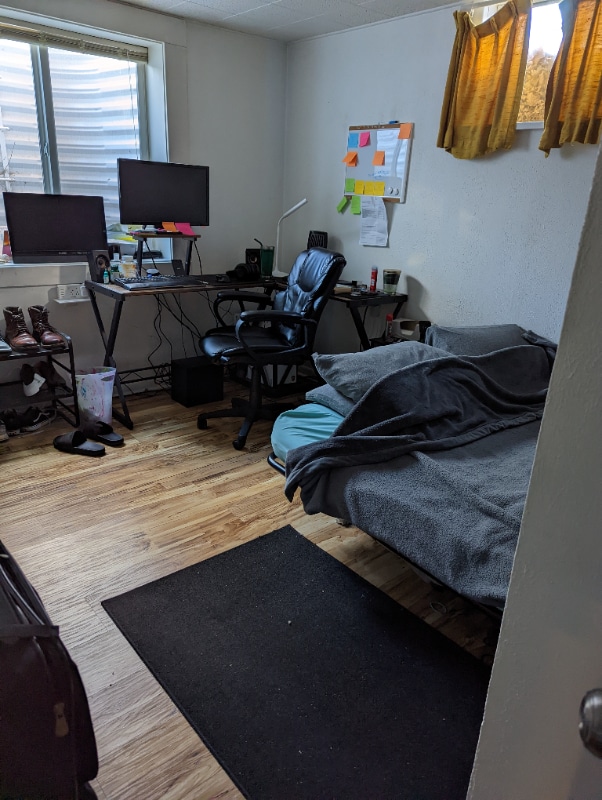 516 Deines Ct in Fort Collins, CO - Foto de edificio - Building Photo