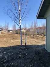 15840 W Hess Ln-Unit -1b in Wasilla, AK - Building Photo - Building Photo
