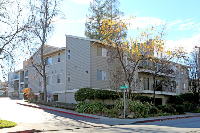 1089 Sunnyvale Ave in Walnut Creek, CA - Building Photo - Building Photo