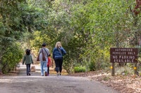 Apartments in Los Altos, CA