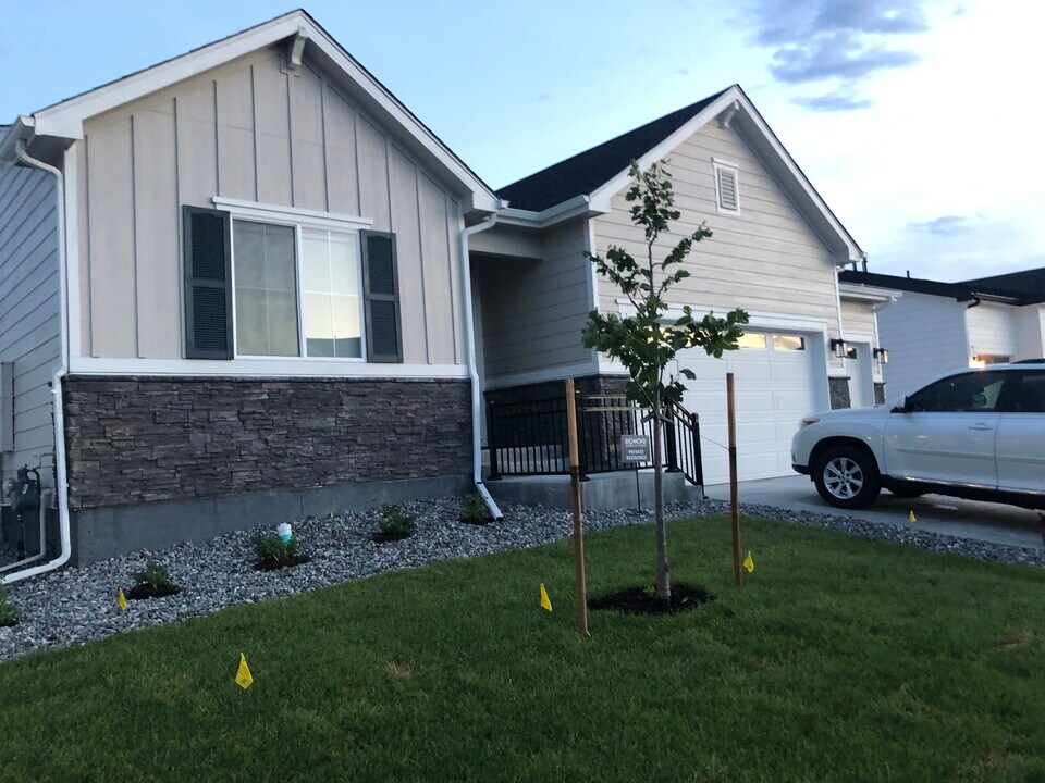 1033 Urial Dr in Severance, CO - Building Photo