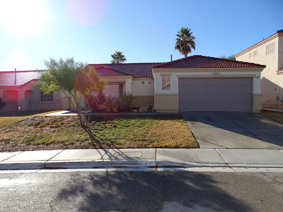 613 Blossom Berry Ct in North Las Vegas, NV - Building Photo