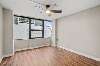 1215 S Michigan Ave in Chicago, IL - Foto de edificio - Building Photo