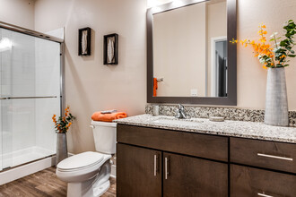 Academy Park Apartments in Kissimmee, FL - Building Photo - Interior Photo