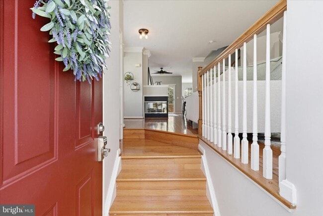 property at 8110 Cerromar Way