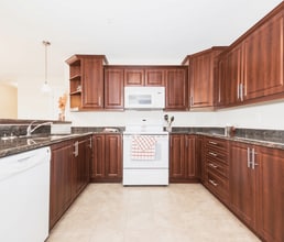 The Linden in Dartmouth, NS - Building Photo - Building Photo