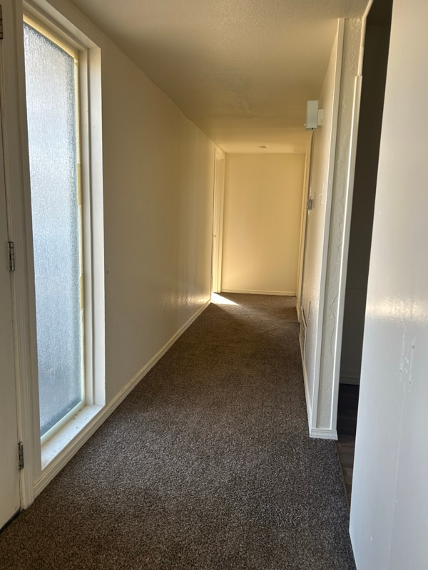 1516 N Ohio Ave in Roswell, NM - Building Photo - Building Photo