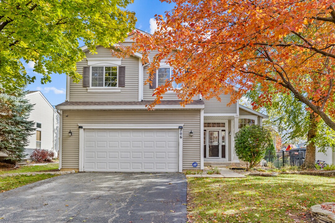 206 Sparrow Ln in Bolingbrook, IL - Building Photo