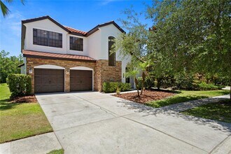 20317 Chestnut Grove Dr in Tampa, FL - Building Photo - Building Photo