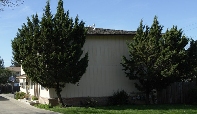 366 Rose Ave in Pleasanton, CA - Foto de edificio - Building Photo