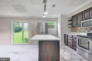 15584 Peach Walker Dr in Bowie, MD - Building Photo