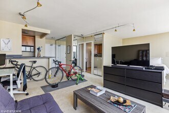 1460 N Sandburg Terrace in Chicago, IL - Building Photo - Building Photo