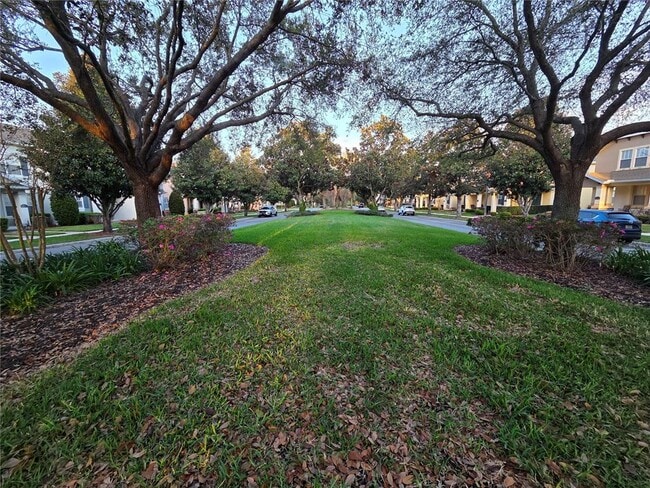 14239 Avenue of the Groves in Winter Garden, FL - Building Photo - Building Photo