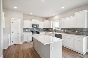 1420 Werthman Drive in Waukee, IA - Building Photo