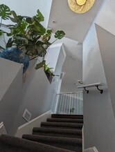3046 Pointeview Dr in Tampa, FL - Building Photo - Building Photo
