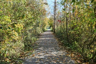 Barkley in Bellingham, WA - Building Photo - Building Photo