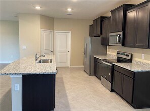 13811 Whiskey Daisy Dr in Dade City, FL - Building Photo - Building Photo