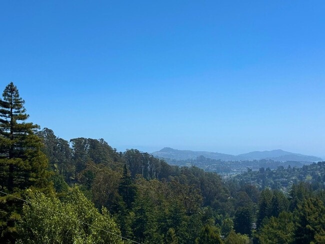 42 Castle Rock Dr in Mill Valley, CA - Building Photo - Building Photo