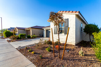 19756 Roma Ave in Litchfield Park, AZ - Foto de edificio - Building Photo