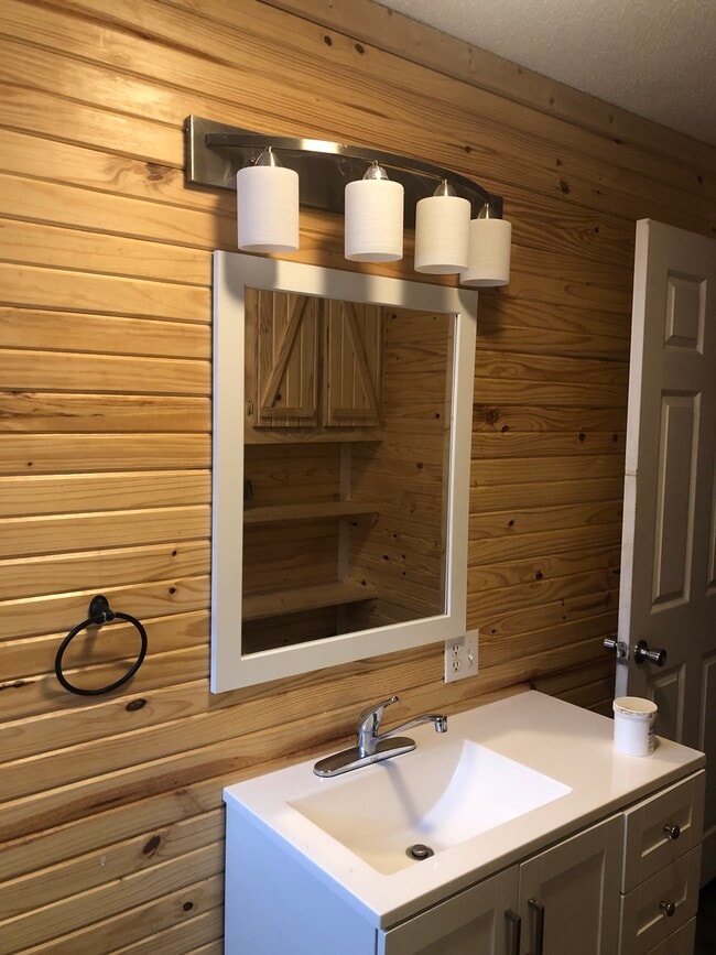 407 Hell Creek Rd in Mountain View, AR - Building Photo - Building Photo
