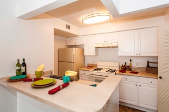 Cricket Club Apartments in Orlando, FL - Building Photo - Building Photo
