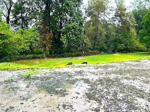 2719 Cleveland Ave in Steubenville, OH - Building Photo - Building Photo