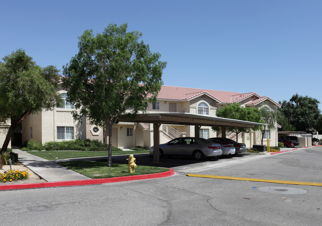 Canyon Vista Apartments Homes in Cathedral City, CA - Foto de edificio