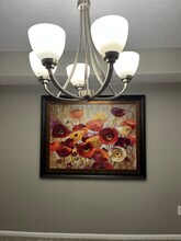 204 Sherwood Green Ct in Mason, OH - Foto de edificio - Building Photo