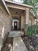 10118 Barr Lake Dr in Houston, TX - Building Photo